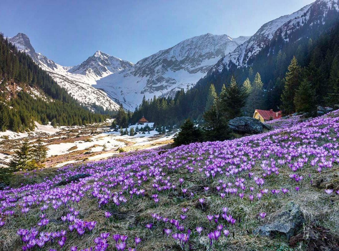 Transylvania Tourism-布拉索夫必去景点