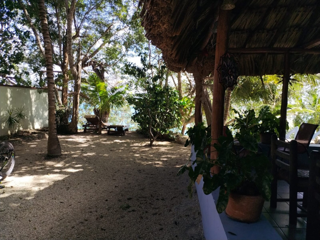 El Roble Hotel Nature主图