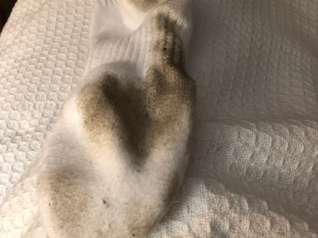 Country Club Motel主图