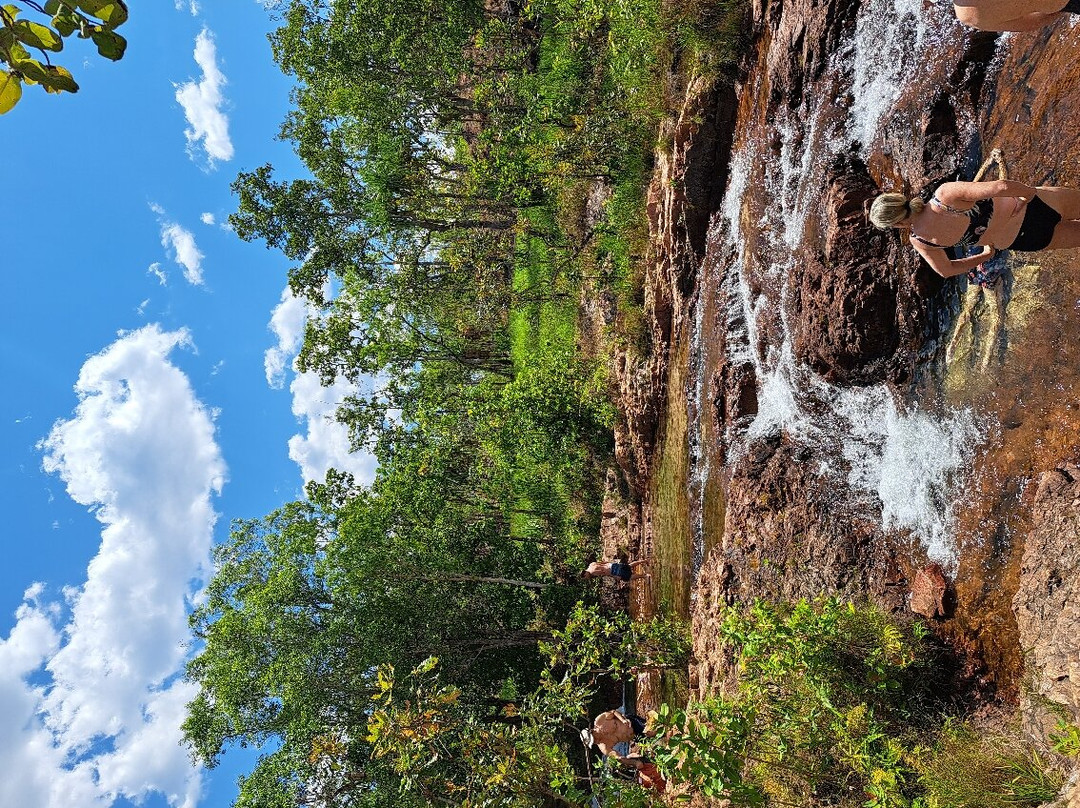 Litchfield Escapes-达尔文市必去景点