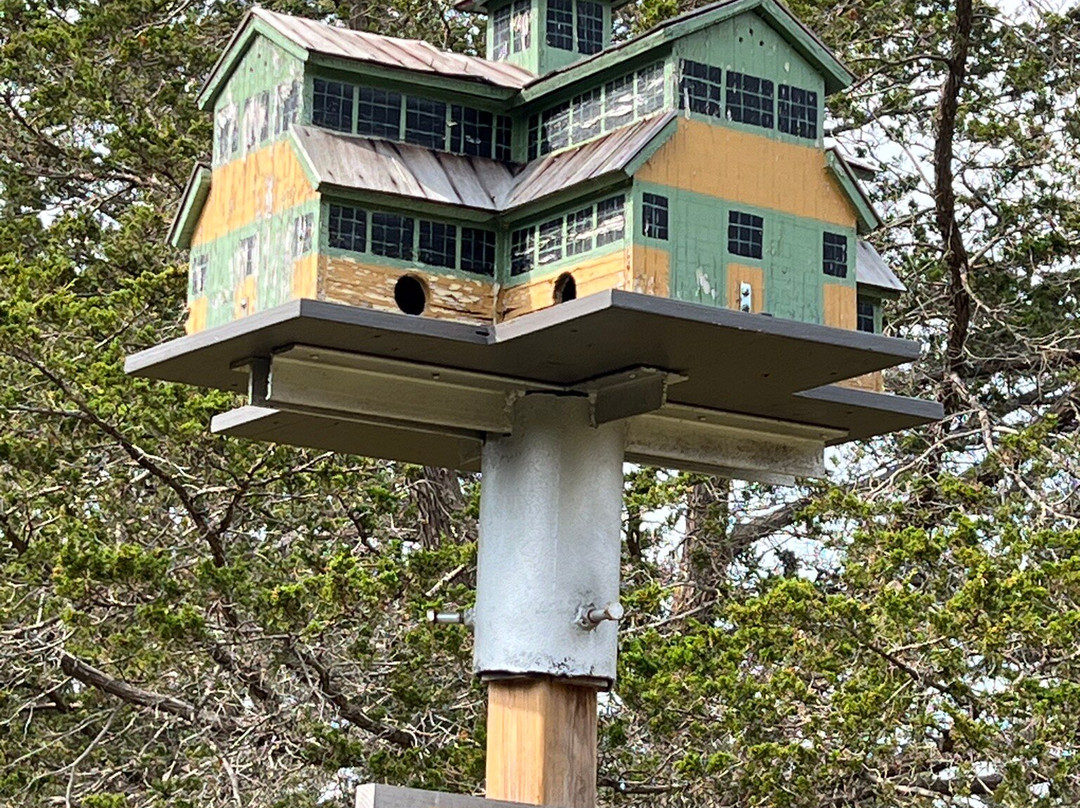Macaulay Mountain Conservation Area景点图片