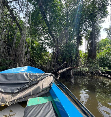 Riu Manga Tours-亚洪加拉必去景点