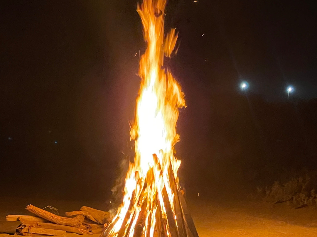 Nemo Diving Center-迪拜必去景点