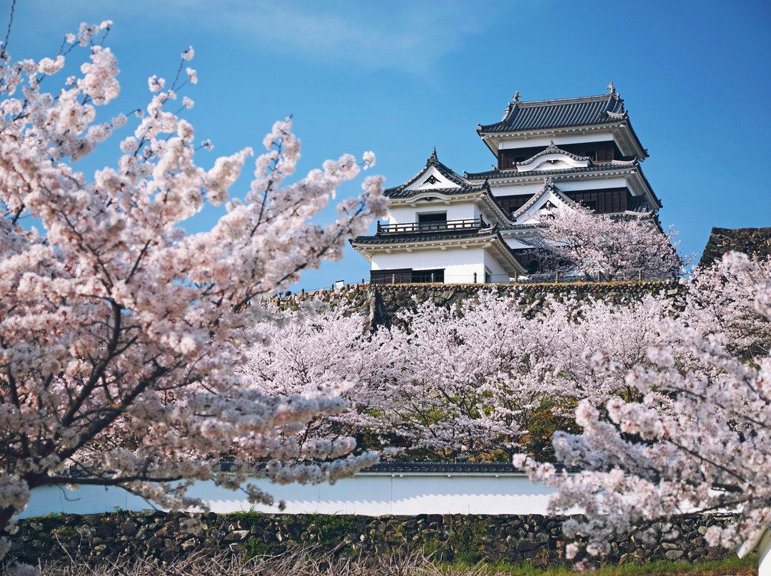 Ozu Castle-大洲市必去景点