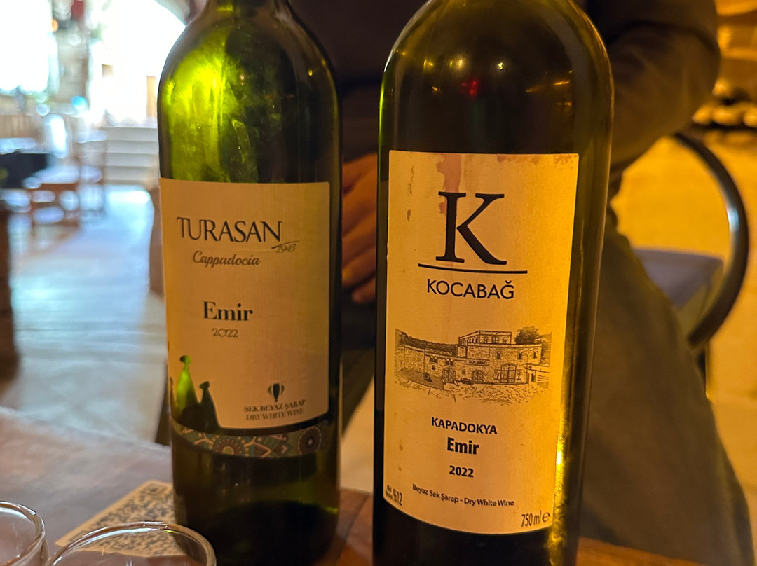 Salkim Sarap Evi (Wine tasting Tour)-阿瓦诺斯必去景点