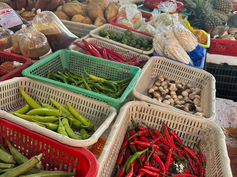 Hoi An Eco Tour and Papa's Cooking Class-会安必去景点