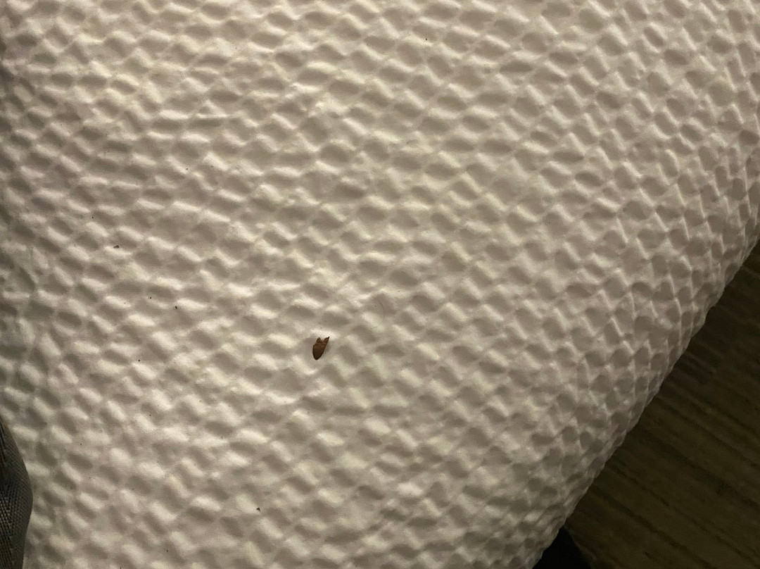 Holiday Inn Express Voorhees - Mt. Laurel By Ihg主图