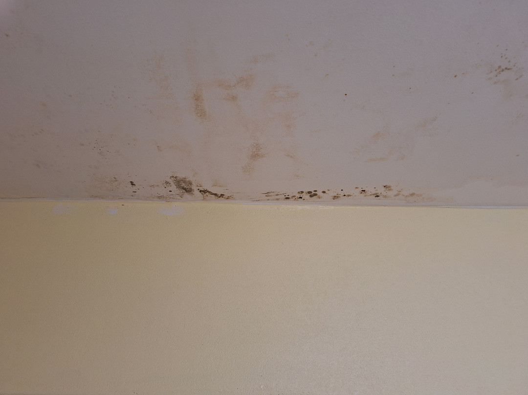 Days Inn by Wyndham Fort Payne主图