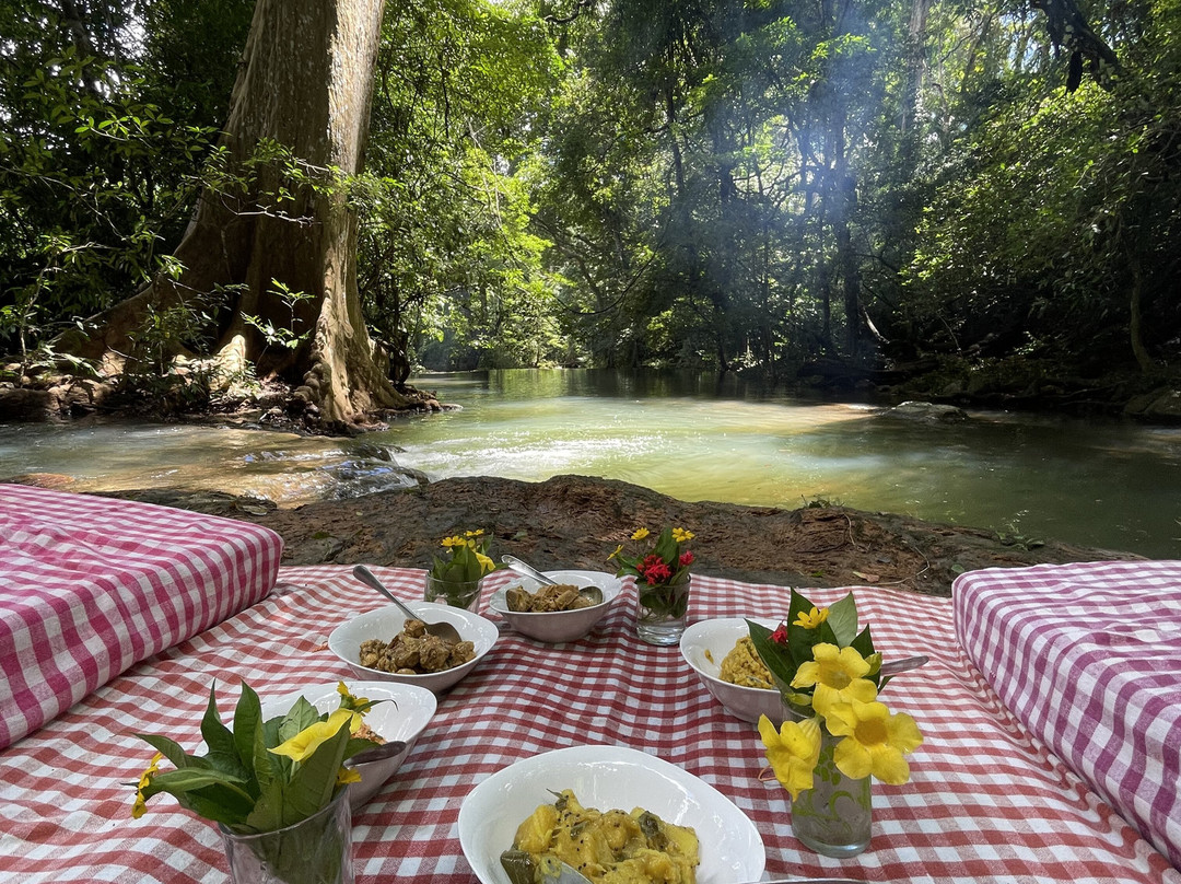 Haputale Mountain Tours-哈普特莱必去景点