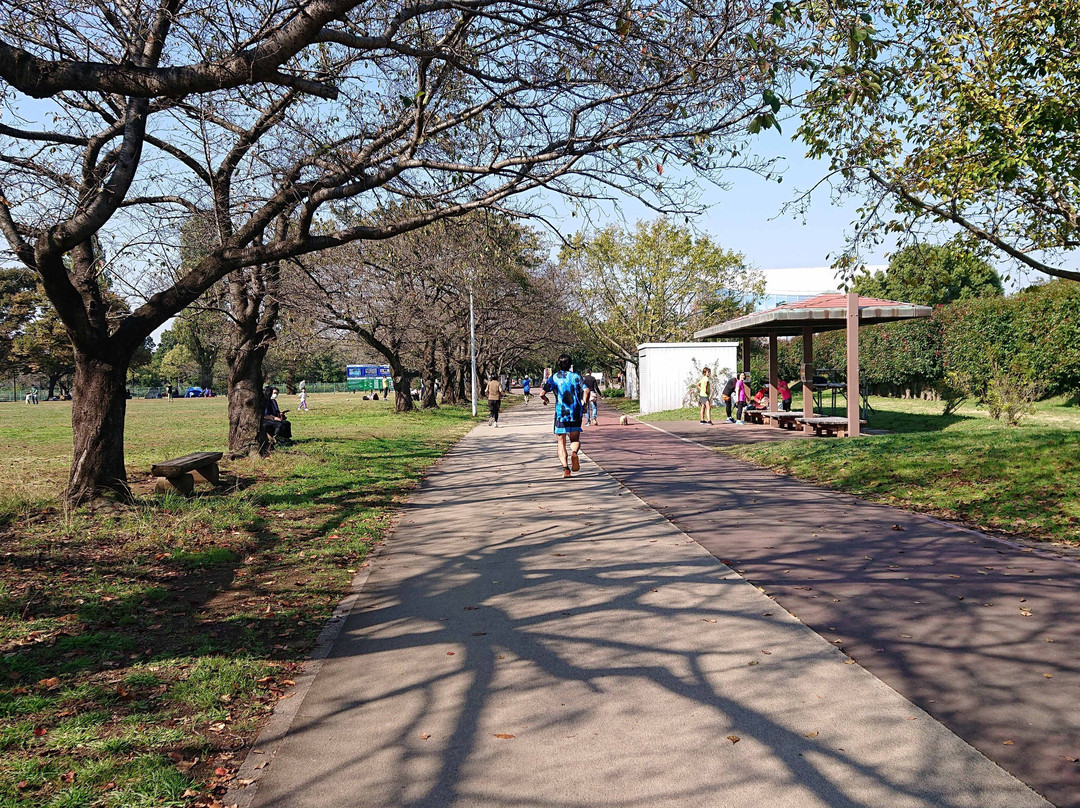 Saitama Prefecture Health & Welfare Village-越谷市必去景点