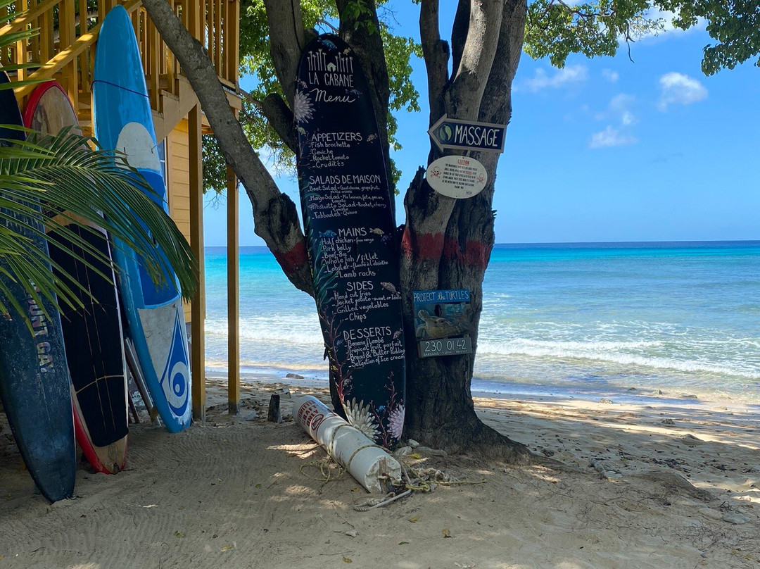 Captain Larry's Ebikes Tours & Rentals-布里奇顿必去景点