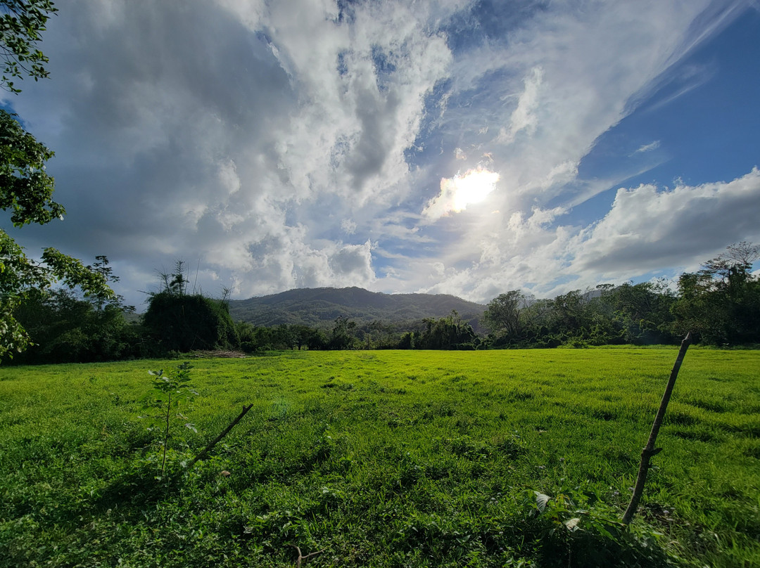 Rancho Primavera主图