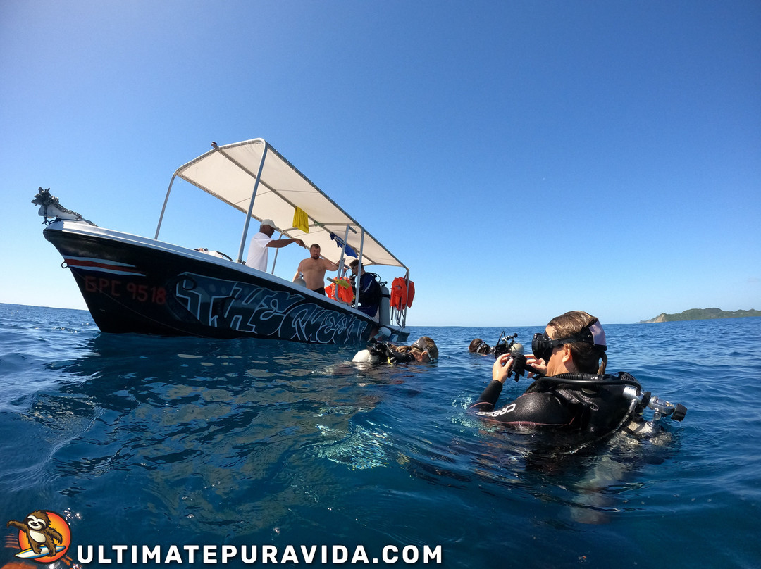 Samara Dive School景点图片