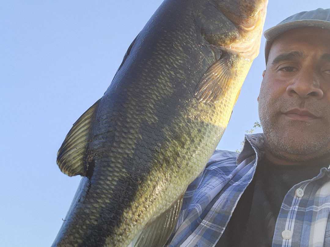 Pine Terrace Motel & Resort主图