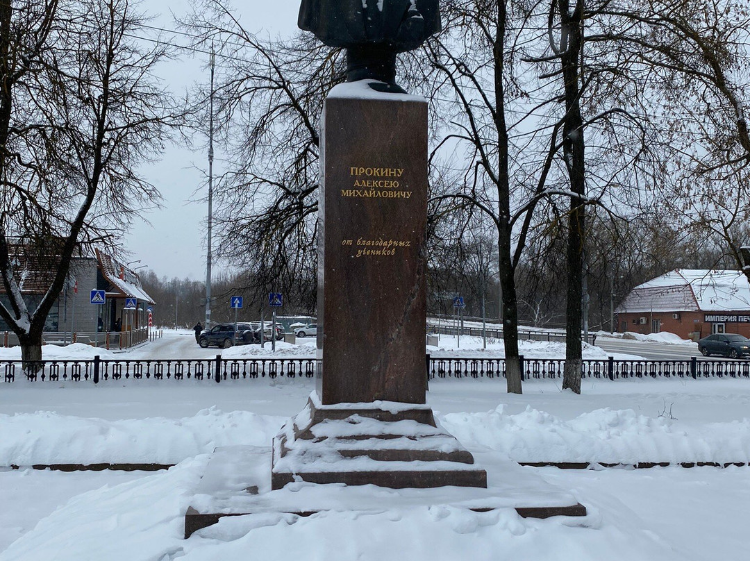 Monument to A.M. Prokin景点图片