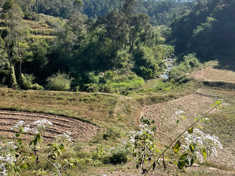 Le Cher Elephant Home-清迈必去景点
