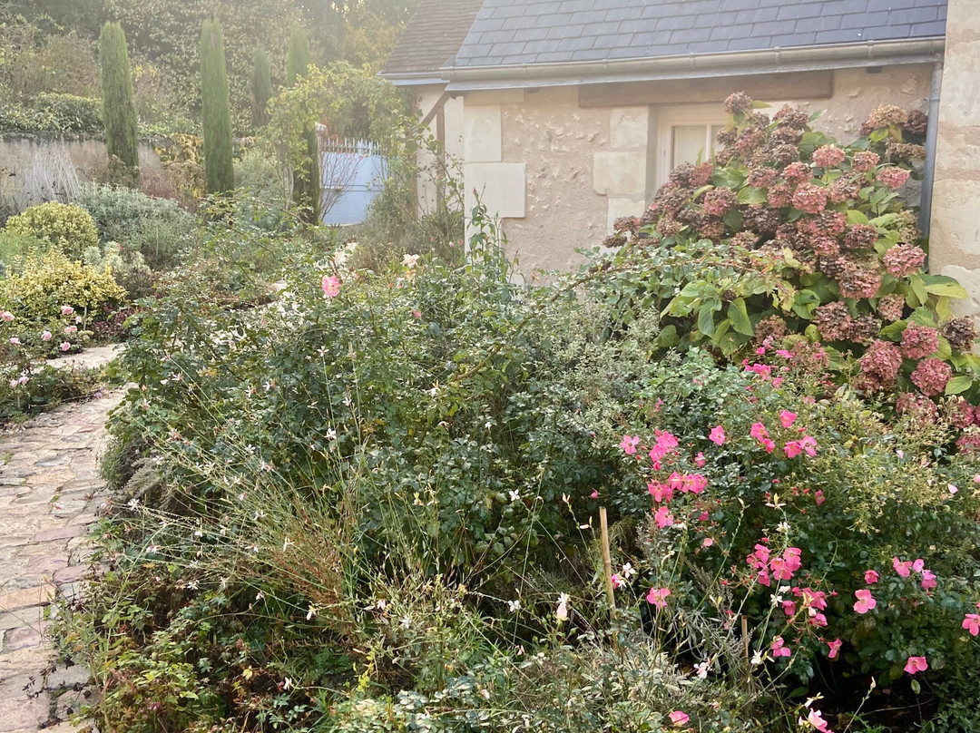 La Chambre Des Dames主图