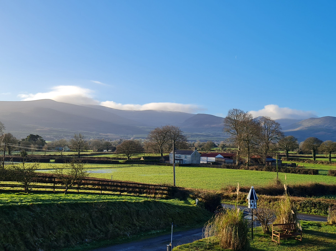 Shadowvale E34X773主图