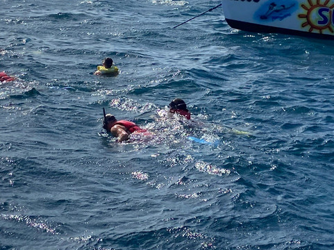 Sail Go Catamaran-马洛卡帕尔马必去景点