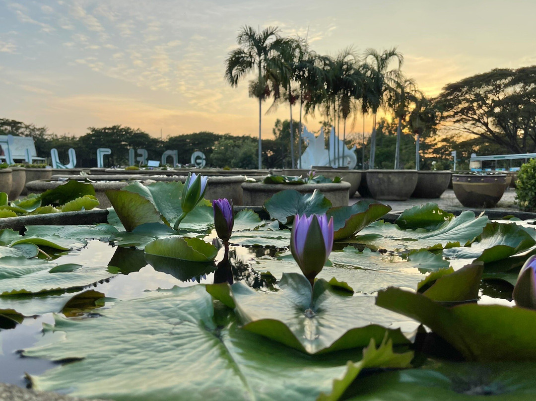 Nong Han Chaloem Phra Kiat Park-沙功那空必去景点