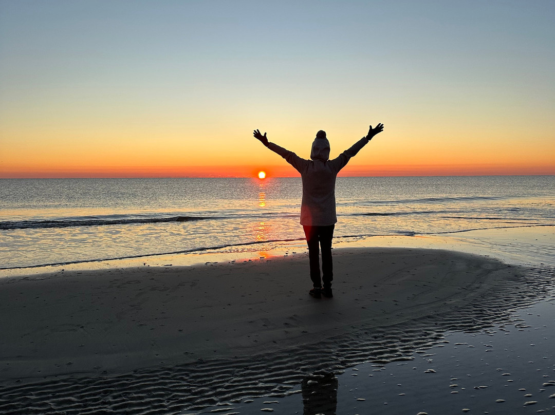 The Beachview Club主图