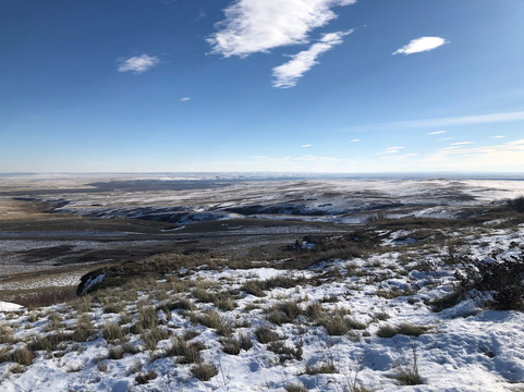 Hammerhead Scenic Tours-卡尔加里必去景点