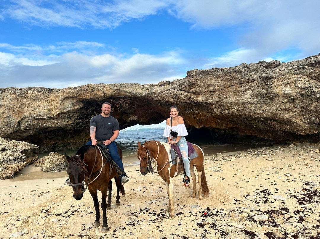 ArubaHorseTour-Paradera必去景点