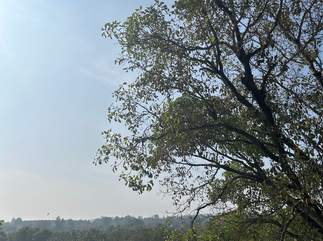 Kimmane Golf Resort主图