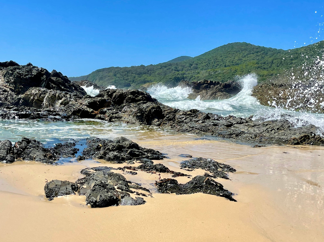 Burgess Beach,  Forster景点图片