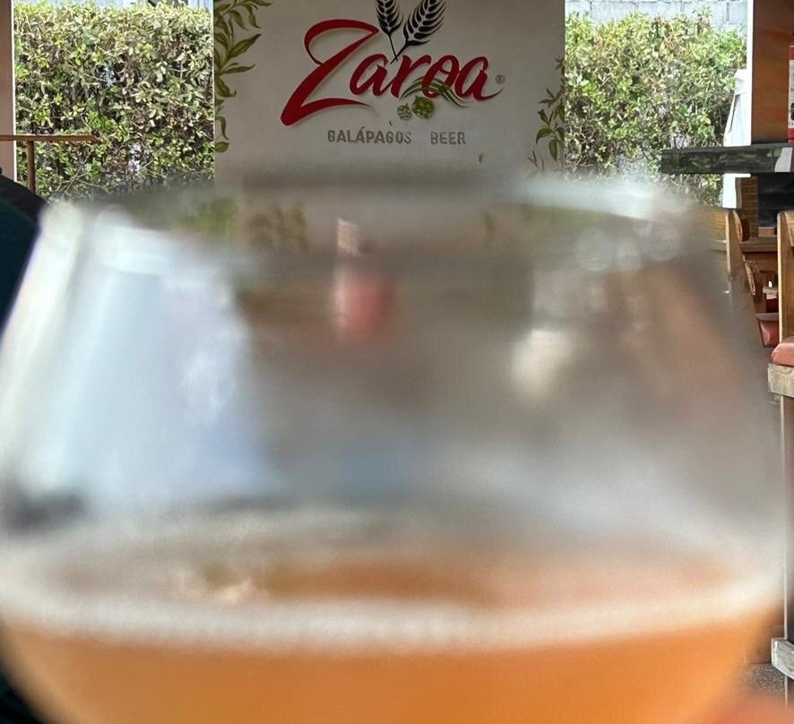 ZAROA Gastro Brewery-维里亚米尔港必去景点