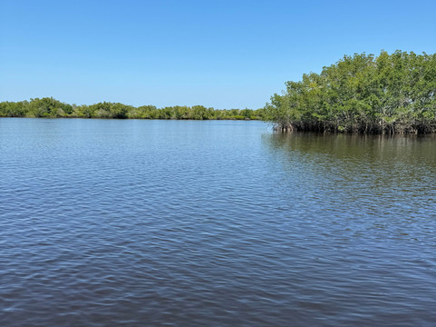Wilderness Boat Tours-蓬塔戈尔达必去景点