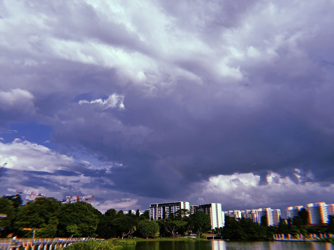 Jurong Lake Garden-新加坡必去景点