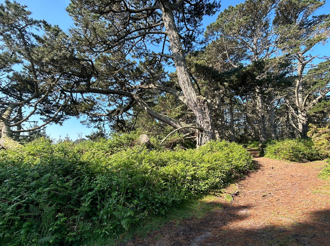 St Mary's Bike Hire-Hugh Town必去景点