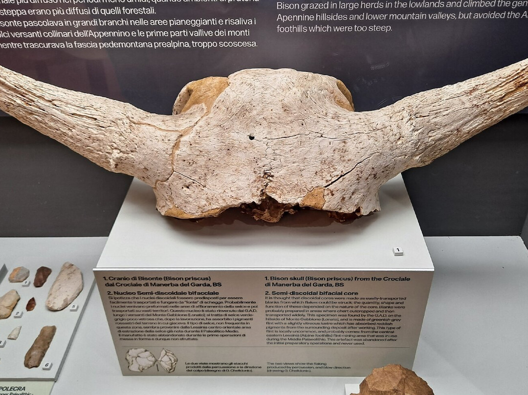 Museo Civico Archeologico Giovanni Rambotti-代森扎诺-德尔加达必去景点
