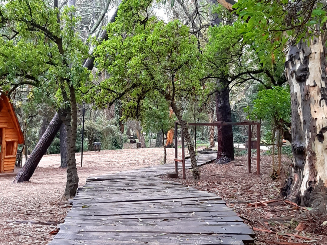 Pinar del Norte景点图片