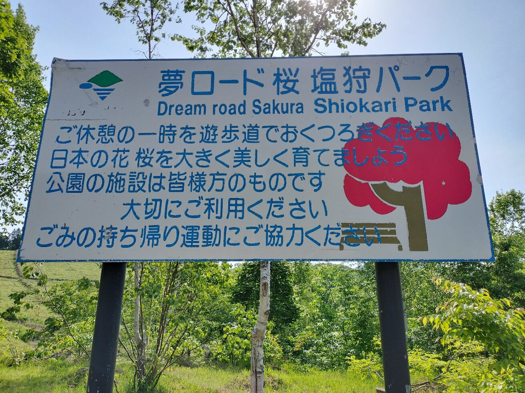 Yume Road Sakura Shiokari Park-和寒町必去景点