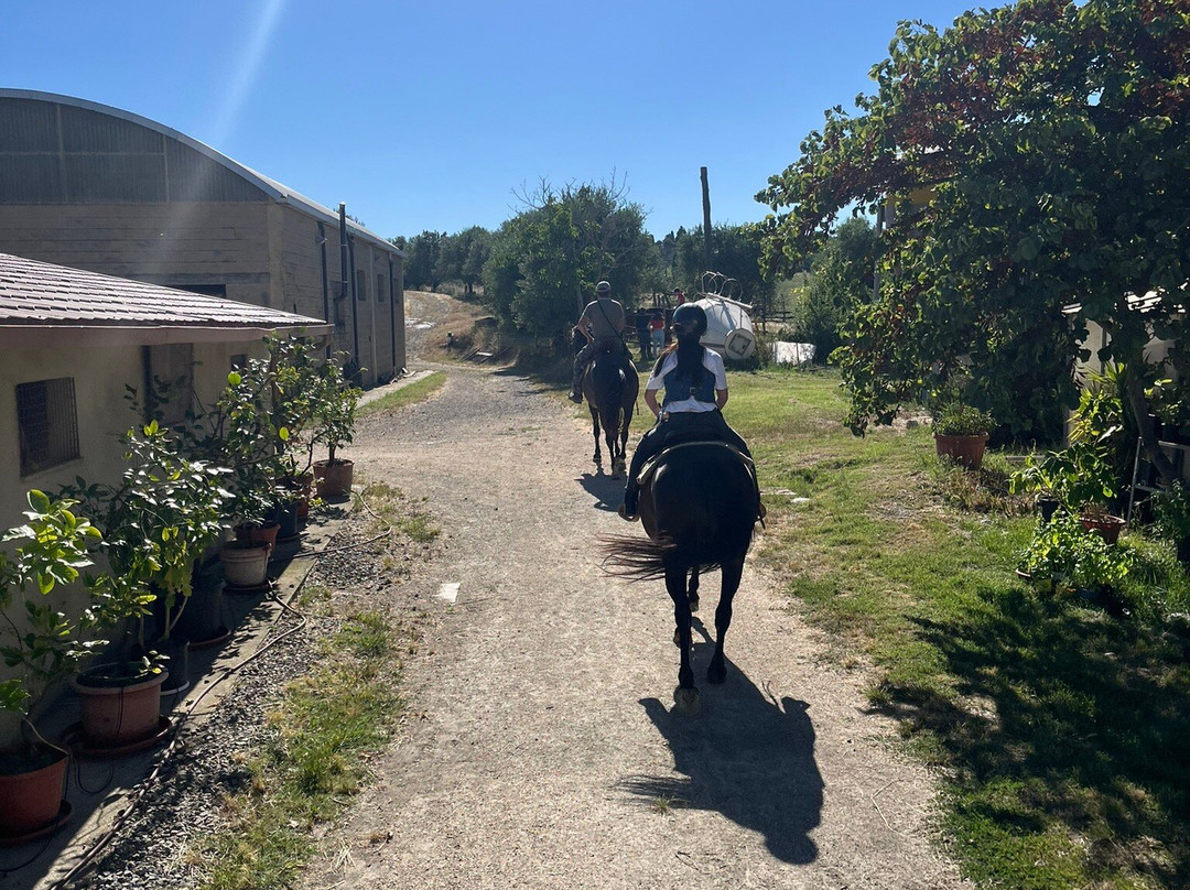 Centro Equestre Samarcanda景点图片