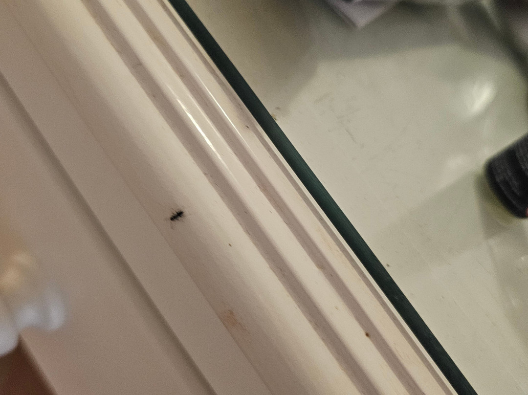 Hôtel Marhaba Club主图