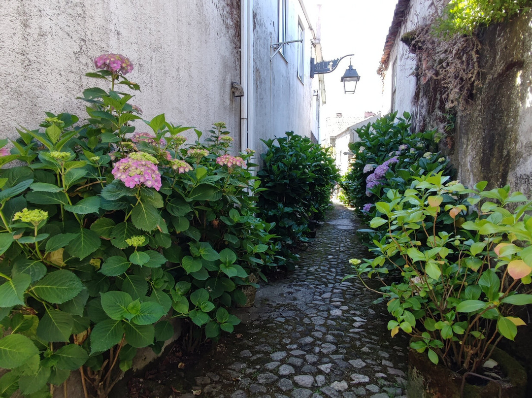 Judiaria de Trancoso景点图片