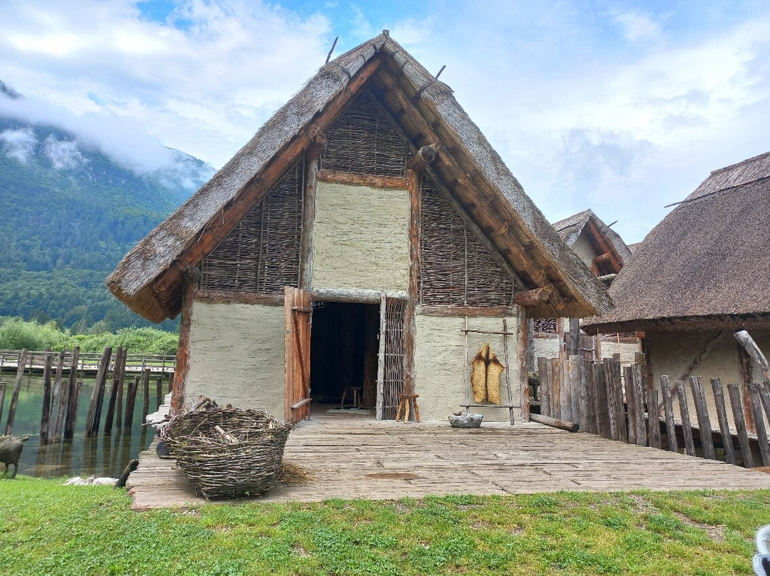 Parco Archeo Natura景点图片