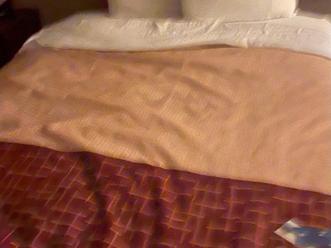 Red Roof Inn Acworth - Emerson/ LakePoint South主图