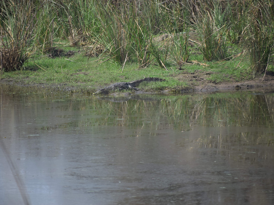Satpura Tiger Reserve-中央邦必去景点