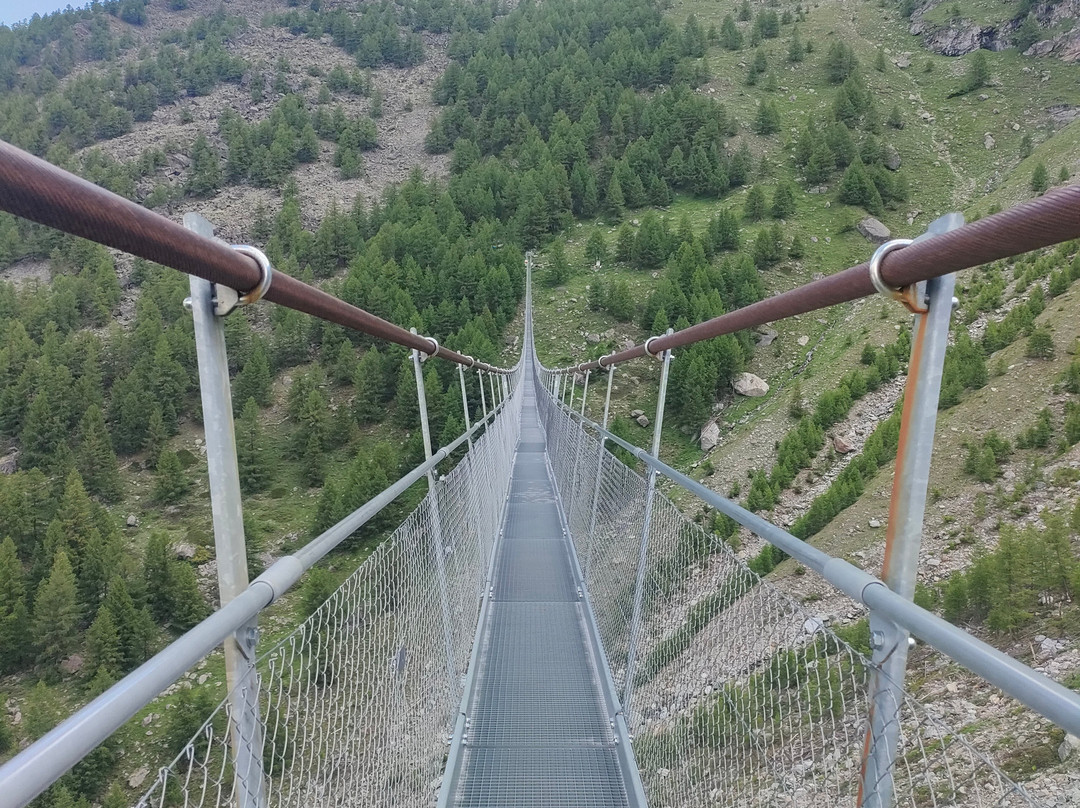 Charles Kuonen Suspension Bridge景点图片