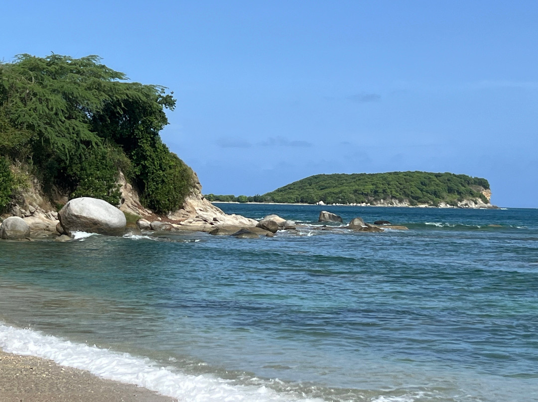 The Vieques Guesthouse主图
