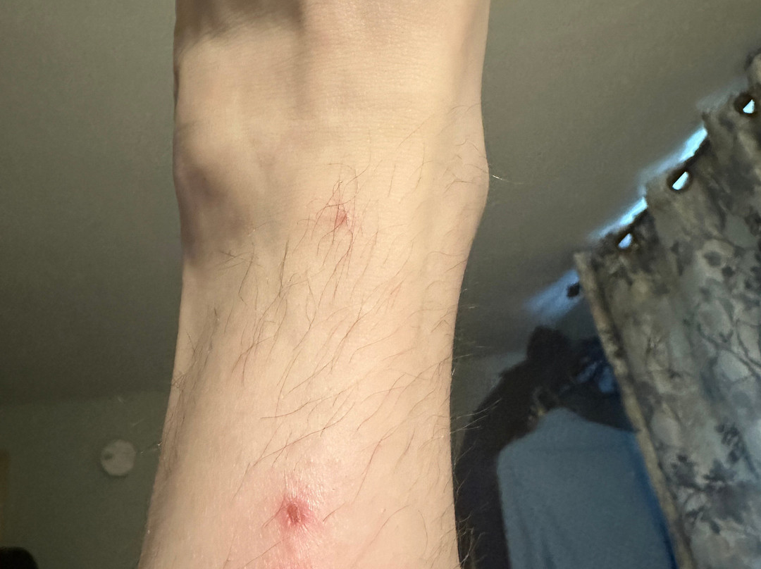 曼彻斯特机场速8酒店主图