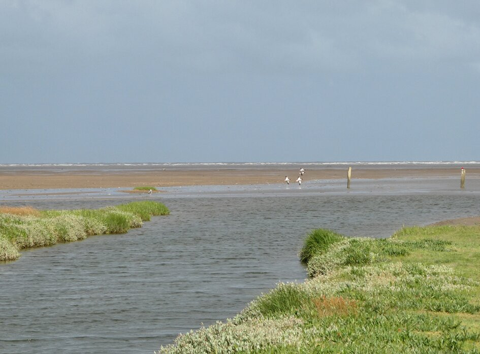 RSPB Marshside-绍斯波特必去景点