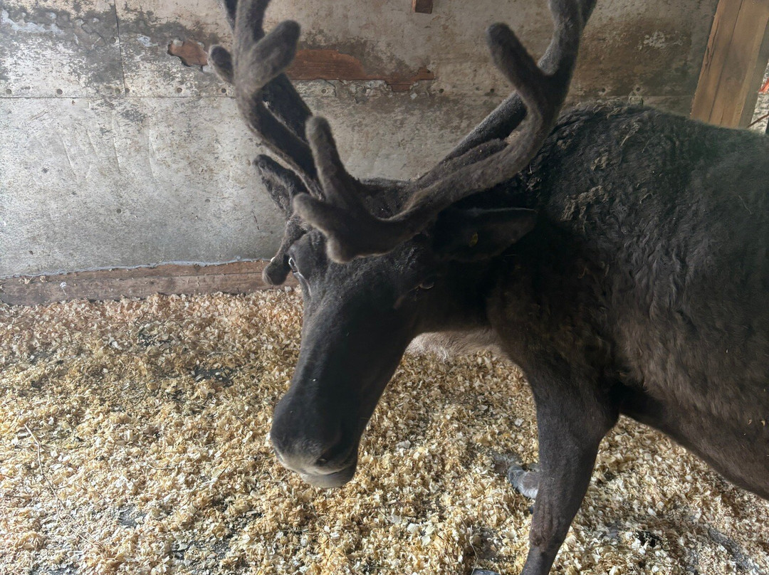 Old McDonald's Farm-Sackets Harbor必去景点