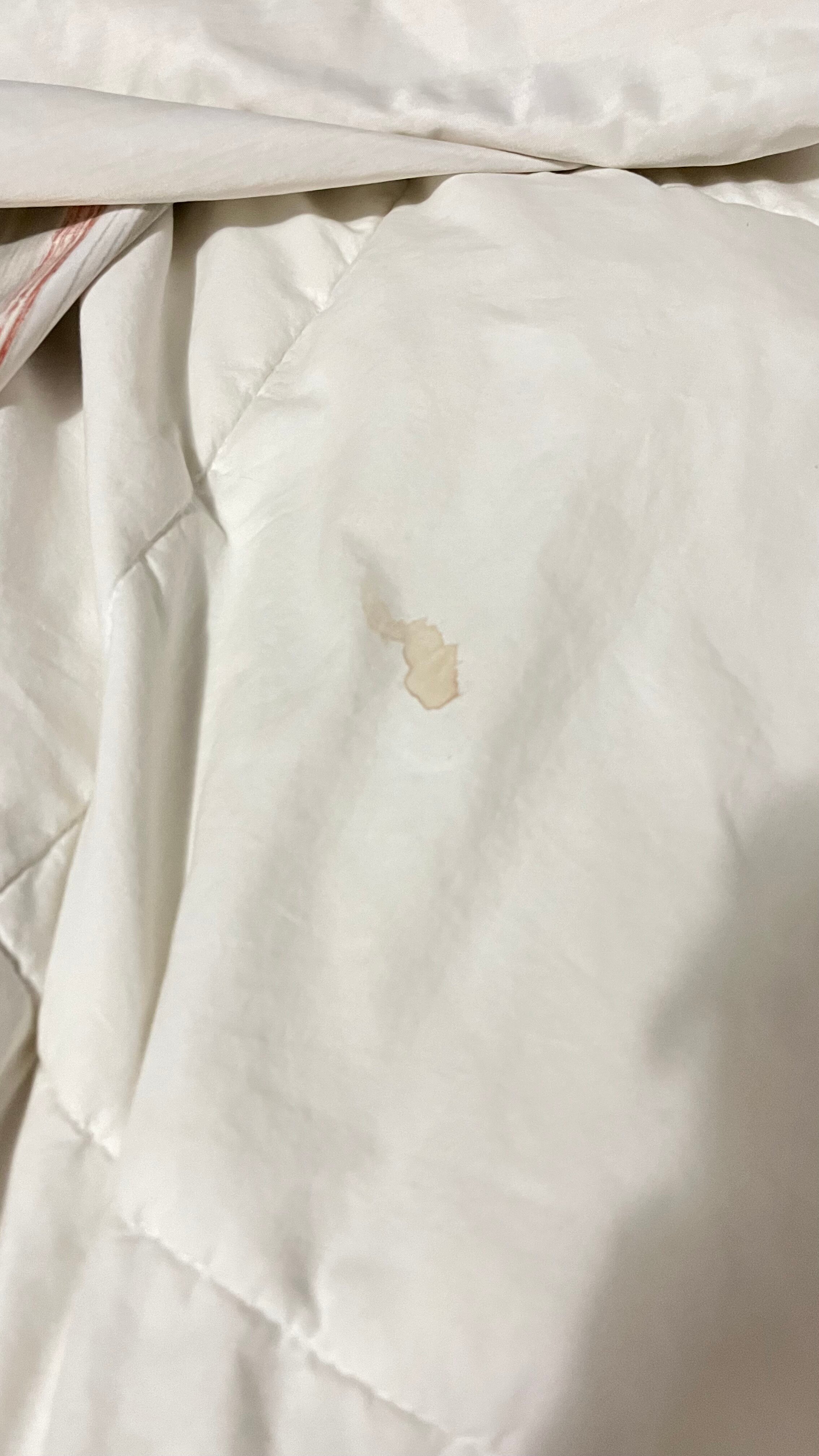 Country Inn & Suites by Radisson, Biloxi-Ocean Springs, MS-客卧