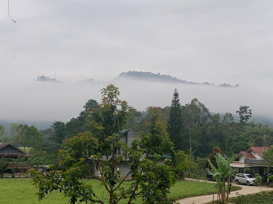 Rosalina Homestay主图