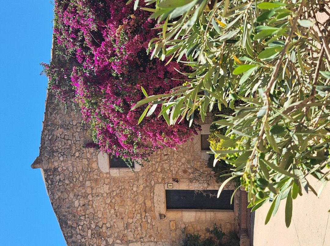 Sant Martí D'Empúries景点图片